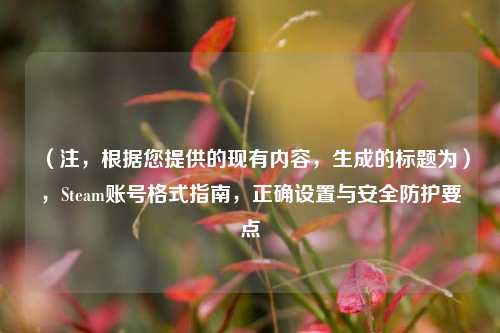 (注,根据您提供的现有内容,生成的标题为),Steam账号格式指南,正确设置与安全防护要点