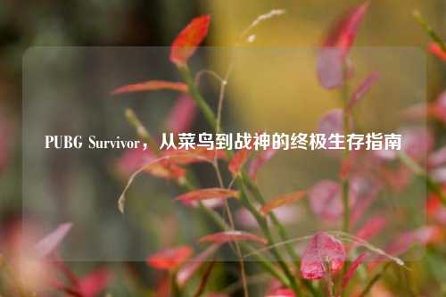 PUBG Survivor,从菜鸟到战神的终极生存指南