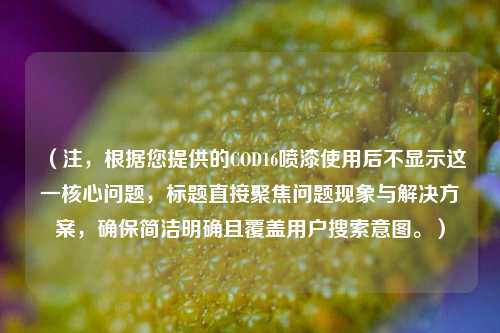 （注，根据您提供的COD16喷漆使用后不显示这一核心问题，标题直接聚焦问题现象与解决方案，确保简洁明确且覆盖用户搜索意图。）