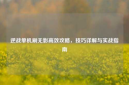 逆战单机刷无影高效攻略，技巧详解与实战指南
