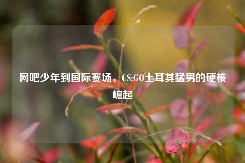 网吧少年到国际赛场,CS:GO土耳其猛男的硬核崛起