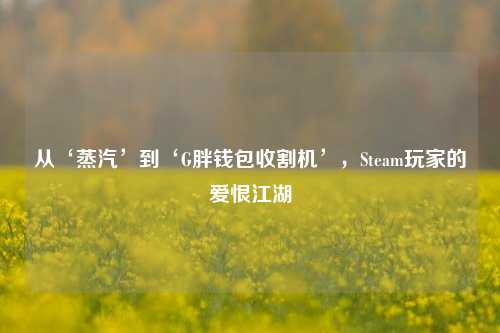 从‘蒸汽’到‘G胖钱包收割机’，Steam玩家的爱恨江湖