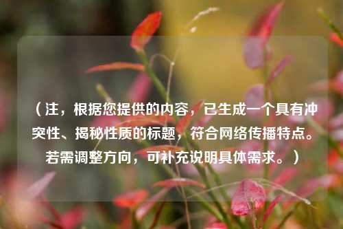 （注，根据您提供的内容，已生成一个具有冲突性、揭秘性质的标题，符合网络传播特点。若需调整方向，可补充说明具体需求。）