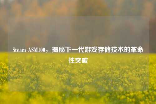 Steam ASM100，揭秘下一代游戏存储技术的革命性突破