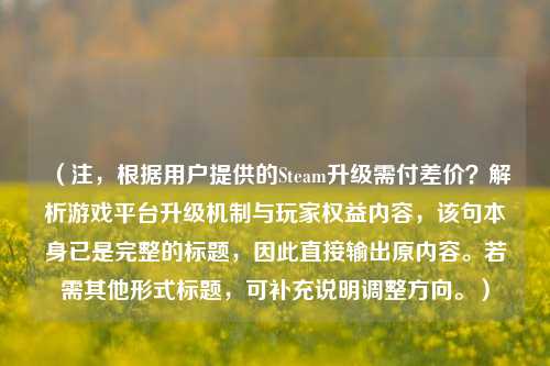 (注,根据用户提供的Steam升级需付差价?解析游戏平台升级机制与玩家权益内容,该句本身已是完整的标题,因此直接输出原内容。若需其他形式标题,可补充说明调整方向。)