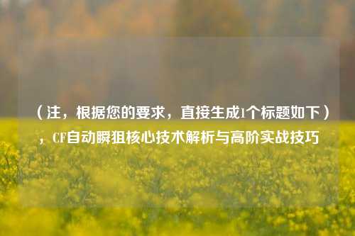(注,根据您的要求,直接生成1个标题如下),CF自动瞬狙核心技术解析与高阶实战技巧
