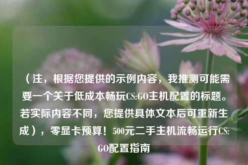 (注,根据您提供的示例内容,我推测可能需要一个关于低成本畅玩CS:GO主机配置的标题。若实际内容不同,您提供具体文本后可重新生成),零显卡预算!500元二手主机流畅运行CS:GO配置指南