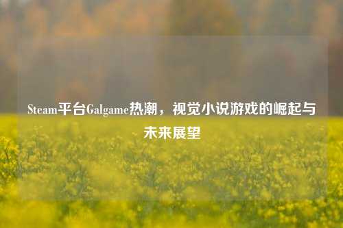 Steam平台Galgame热潮,视觉小说游戏的崛起与未来展望