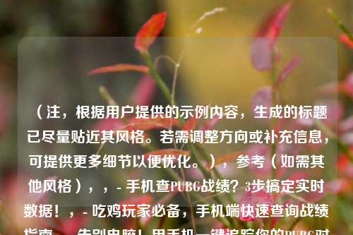 (注,根据用户提供的示例内容,生成的标题已尽量贴近其风格。若需调整方向或补充信息,可提供更多细节以便优化。),参考(如需其他风格),,- 手机查PUBG战绩?3步搞定实时数据!,- 吃鸡玩家必备,手机端快速查询战绩指南,- 告别电脑!用手机一键追踪你的PUBG对战记录,(直接采用首行标题即可,其他仅为扩展建议)