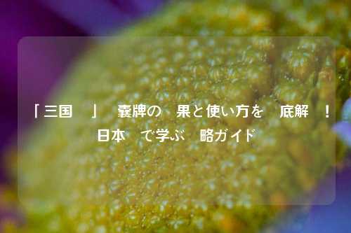「三国殺」錦囊牌の効果と使い方を徹底解説!日本語で学ぶ戦略ガイド