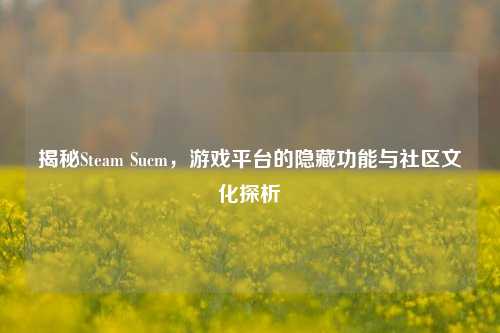揭秘Steam Sucm，游戏平台的隐藏功能与社区文化探析