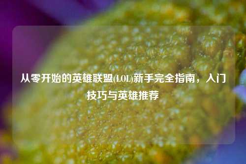 从零开始的英雄联盟(LOL)新手完全指南,入门技巧与英雄推荐