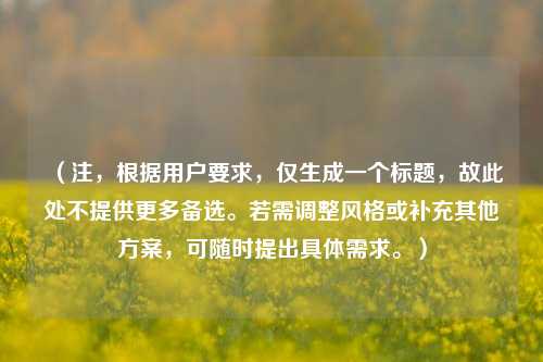 (注,根据用户要求,仅生成一个标题,故此处不提供更多备选。若需调整风格或补充其他方案,可随时提出具体需求。)