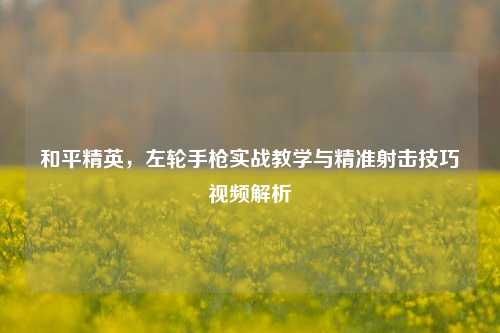 和平精英,左轮手枪实战教学与精准射击技巧视频解析