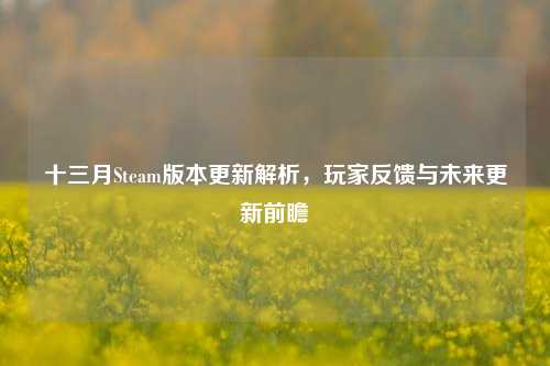 十三月Steam版本更新解析,玩家反馈与未来更新前瞻