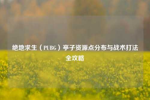 绝地求生（PUBG）亭子资源点分布与战术打法全攻略