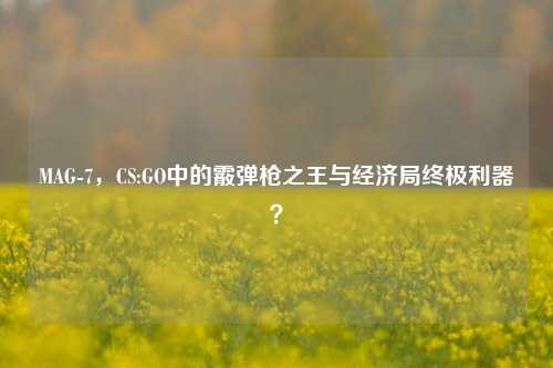 MAG-7,CS:GO中的霰弹枪之王与经济局终极利器?