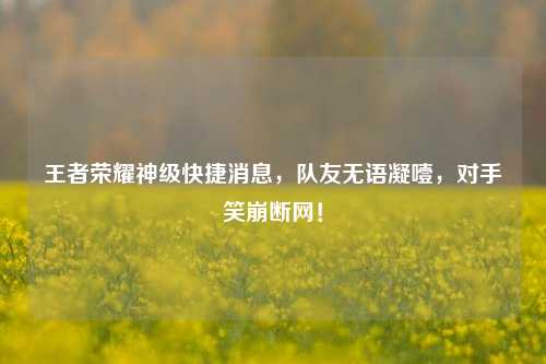 王者荣耀神级快捷消息,队友无语凝噎,对手笑崩断网!