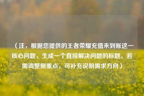 (注,根据您提供的王者荣耀充值未到账这一核心问题,生成一个直接解决问题的标题。若需调整侧重点,可补充说明需求方向)