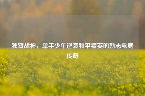 独臂战神,单手少年逆袭和平精英的励志电竞传奇