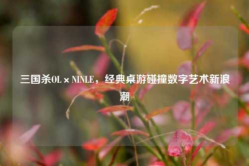 三国杀OL×NINLE，经典桌游碰撞数字艺术新浪潮