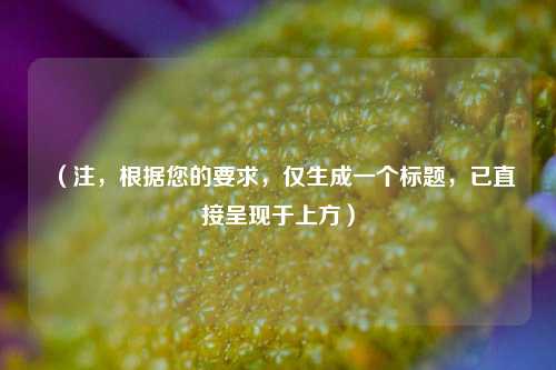 (注,根据您的要求,仅生成一个标题,已直接呈现于上方)