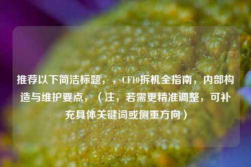 推荐以下简洁标题,,CF10拆机全指南,内部构造与维护要点,(注,若需更精准调整,可补充具体关键词或侧重方向)