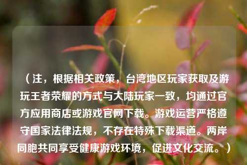 (注,根据相关政策,台湾地区玩家获取及游玩王者荣耀的方式与大陆玩家一致,均通过官方应用商店或游戏官网下载。游戏运营严格遵守国家法律法规,不存在特殊下载渠道。两岸同胞共同享受健康游戏环境,促进文化交流。)