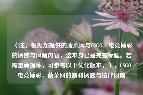 (注,根据您提供的菠菜网与CSGO,电竞博彩的诱惑与风险内容,这本身已是完整标题。若需重新提炼,可参考以下优化版本,),CSGO电竞博彩,菠菜网的暴利诱惑与法律风险