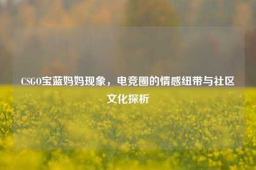 CSGO宝蓝妈妈现象,电竞圈的情感纽带与社区文化探析