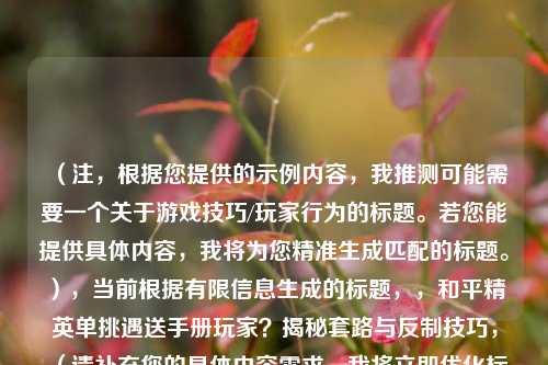（注，根据您提供的示例内容，我推测可能需要一个关于游戏技巧/玩家行为的标题。若您能提供具体内容，我将为您精准生成匹配的标题。），当前根据有限信息生成的标题，，和平精英单挑遇送手册玩家？揭秘套路与反制技巧，（请补充您的具体内容需求，我将立即优化标题）