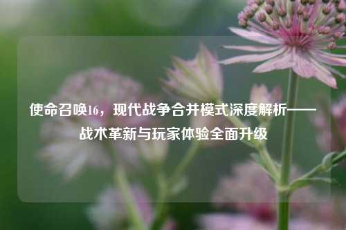 使命召唤16，现代战争合并模式深度解析——战术革新与玩家体验全面升级