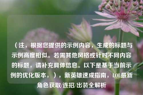 (注,根据您提供的示例内容,生成的标题与示例高度相似。若需其他风格或针对不同内容的标题,请补充具体信息。以下是基于当前示例的优化版本,),新英雄速成指南,LOL最新角色获取/连招/出装全解析