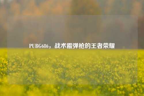 PUBG686，战术霰弹枪的王者荣耀