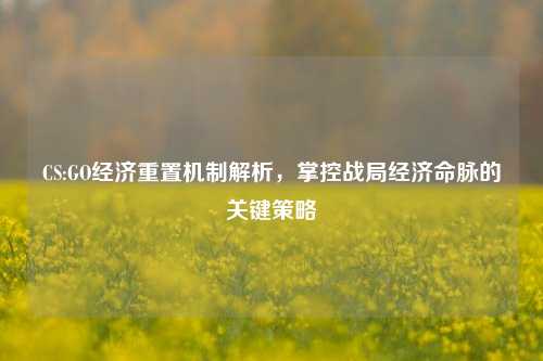 CS:GO经济重置机制解析,掌控战局经济命脉的关键策略