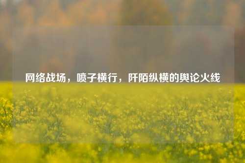 网络战场,喷子横行,阡陌纵横的舆论火线