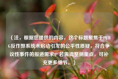 （注，根据您提供的内容，这个标题聚焦于PUBG反作弊系统未启动引发的公平性质疑，符合争议性事件的报道需求。若需调整侧重点，可补充更多细节。）