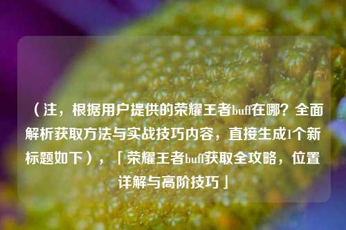（注，根据用户提供的荣耀王者buff在哪？全面解析获取方法与实战技巧内容，直接生成1个新标题如下），「荣耀王者buff获取全攻略，位置详解与高阶技巧」