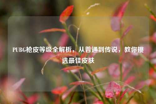 PUBG枪皮等级全解析，从普通到传说，教你挑选最佳皮肤