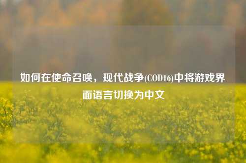 如何在使命召唤，现代战争(COD16)中将游戏界面语言切换为中文