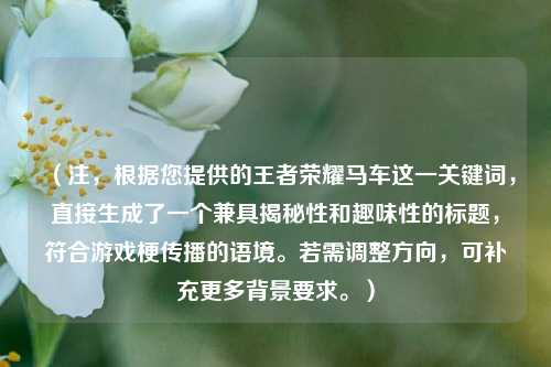 （注，根据您提供的王者荣耀马车这一关键词，直接生成了一个兼具揭秘性和趣味性的标题，符合游戏梗传播的语境。若需调整方向，可补充更多背景要求。）