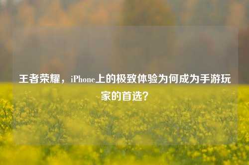 王者荣耀，iPhone上的极致体验为何成为手游玩家的首选？