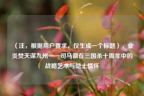 （注，根据用户要求，仅生成一个标题），业炎焚天谋九州——司马徽在三国杀十周年中的战略艺术与隐士情怀