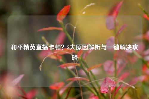 和平精英直播卡顿？5大原因解析与一键解决攻略