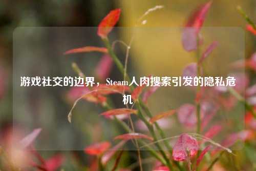 游戏社交的边界，Steam人肉搜索引发的隐私危机