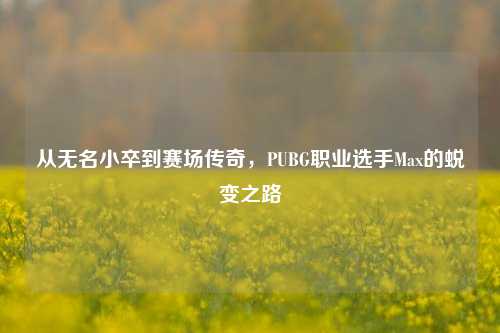 从无名小卒到赛场传奇，PUBG职业选手Max的蜕变之路