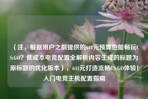 （注，根据用户之前提供的641元预算也能畅玩CS:GO？低成本电竞配置全解析内容生成的标题为原标题的优化版本），641元打造流畅CS:GO体验！入门电竞主机配置指南