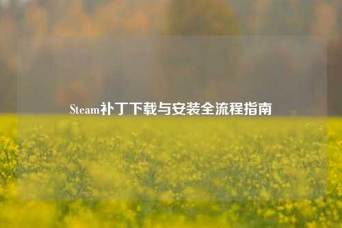 Steam补丁下载与安装全流程指南