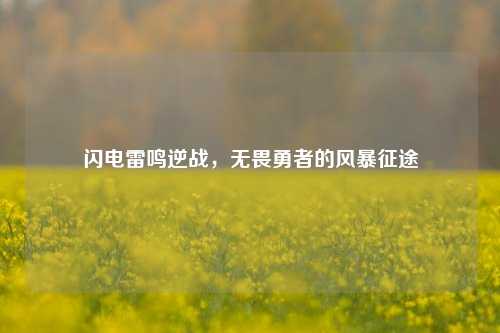 闪电雷鸣逆战，无畏勇者的风暴征途