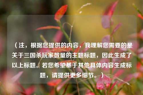 （注，根据您提供的内容，我理解您需要的是关于三国杀玩家数量的主题标题，因此生成了以上标题。若您希望基于其他具体内容生成标题，请提供更多细节。）